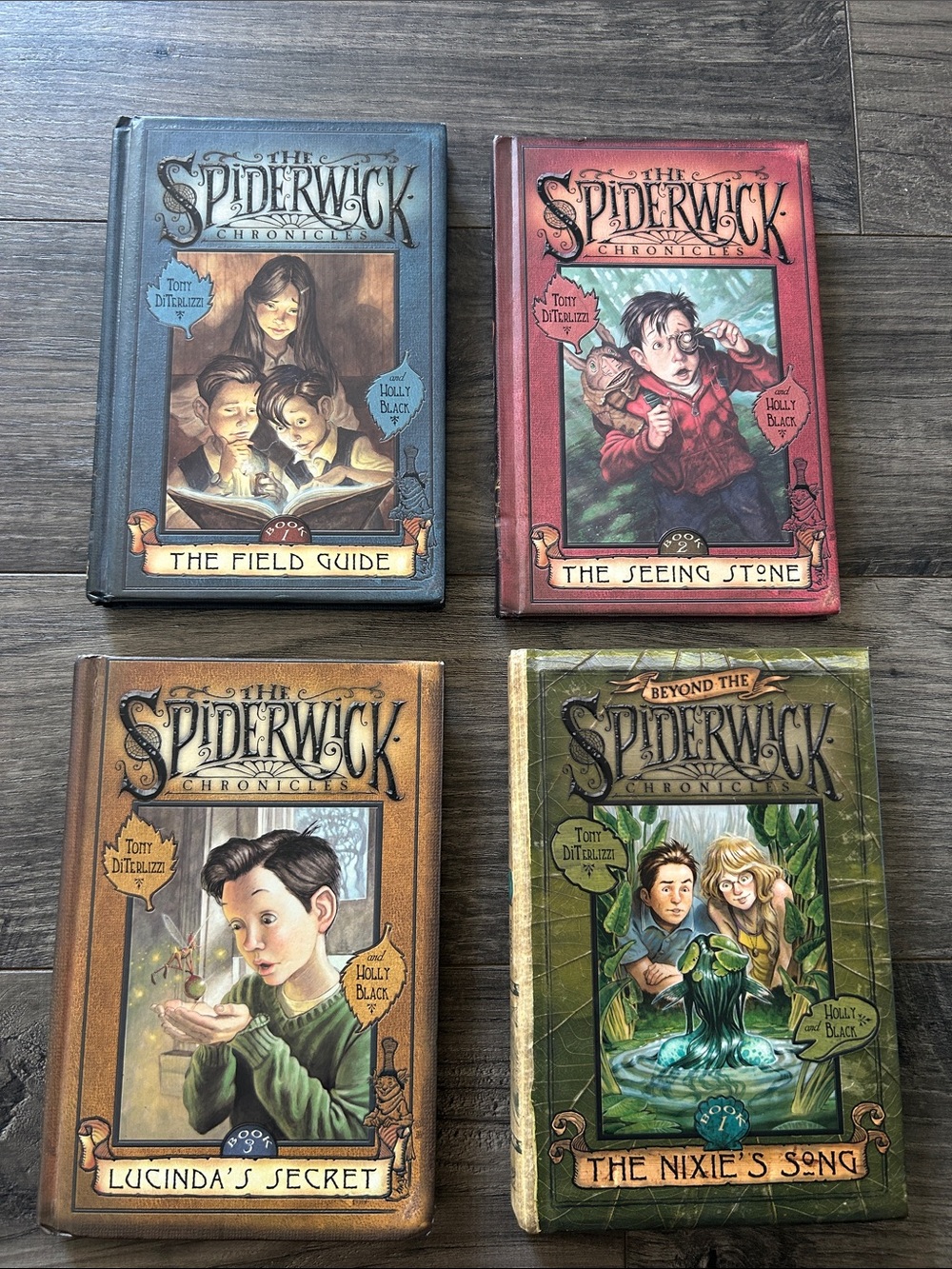 The Spiderwick Chronicles Middle Grade Hardcover Books